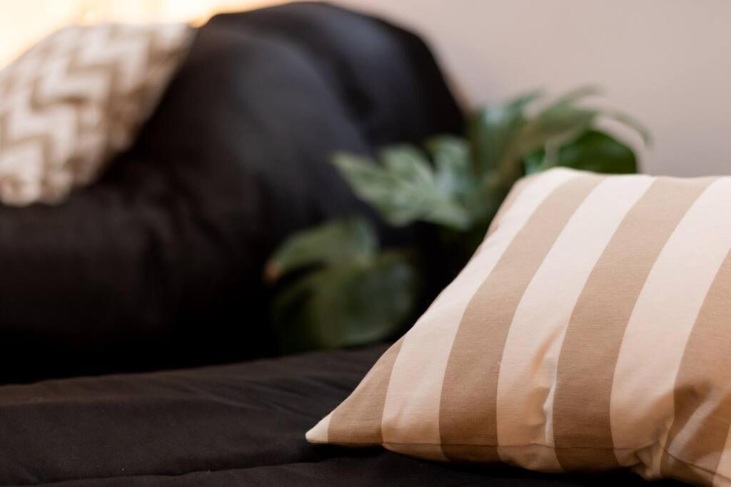 Apartamento Cambacua Salguero *